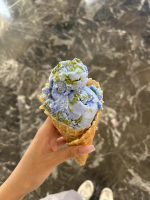 Van Leeuwen Earth