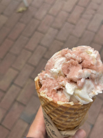 Van Leeuwen Strawberry Shortcake
